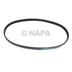 Accessory Drive Belt