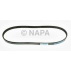 Accessory Drive Belt