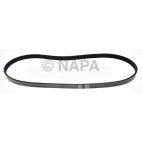 Accessory Drive Belt