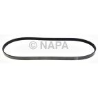 Serpentine Belt