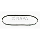 Serpentine Belt