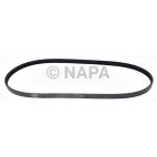Accessory Drive Belt