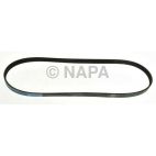Serpentine Belt