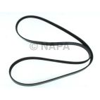 Accessory Drive Belt