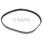 Accessory Drive Belt