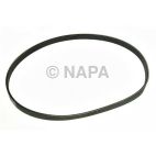 Accessory Drive Belt