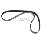 Accessory Drive Belt