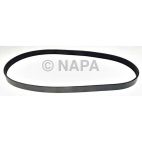 Serpentine Belt