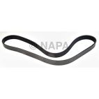 Serpentine Belt