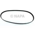 Accessory Drive Belt