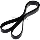 Serpentine Belt