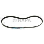 Accessory Drive Belt