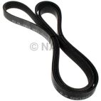 Serpentine Belt