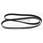 Accessory Drive Belt