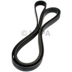 Accessory Drive Belt