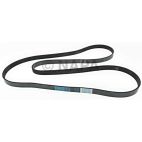 Accessory Drive Belt