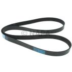 Accessory Drive Belt