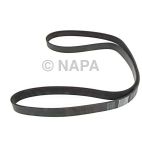 Accessory Drive Belt