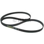 Serpentine Belt
