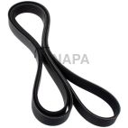 Accessory Drive Belt