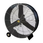 Fan / Shop