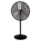 Fan / Shop