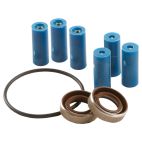 Transfer Pump Repair Kit - AG Hypro LLC