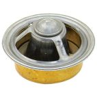 Engine Coolant Thermostat