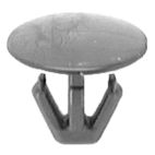 Body Molding Clip