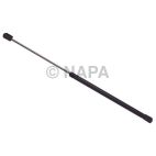 Back Glass Lift Support
