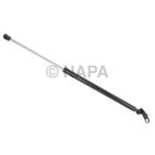 Hood / Deck Lid Lift Support Set