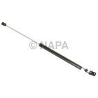 Tailgate Lift Support