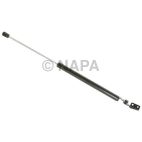 Tailgate Lift Support