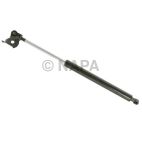 Hood Lift Support