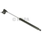 Hood Lift Support