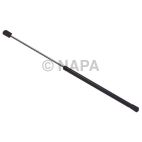 Back Glass Lift Support