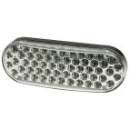 Light - LED - Directional Clear Electronic Controls / ECCO