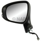 Door Mirror