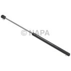 Back Glass Lift Support