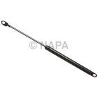 Hood / Deck Lid Lift Support Set