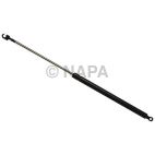 Hood / Deck Lid Lift Support Set