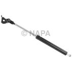 Hood Lift Support