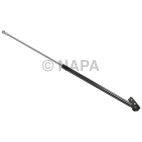 Tailgate Lift Support