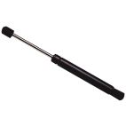 Hatchback Lift Support