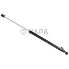 Tailgate Lift Support