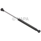 Hood / Deck Lid Lift Support Set