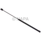Hood / Deck Lid Lift Support Set
