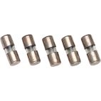 FUSE - AUTO / 10 AMP