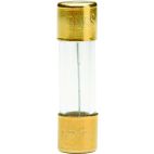 GOLD PLATED FUSE
