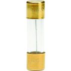 GOLD PLATED FUSE